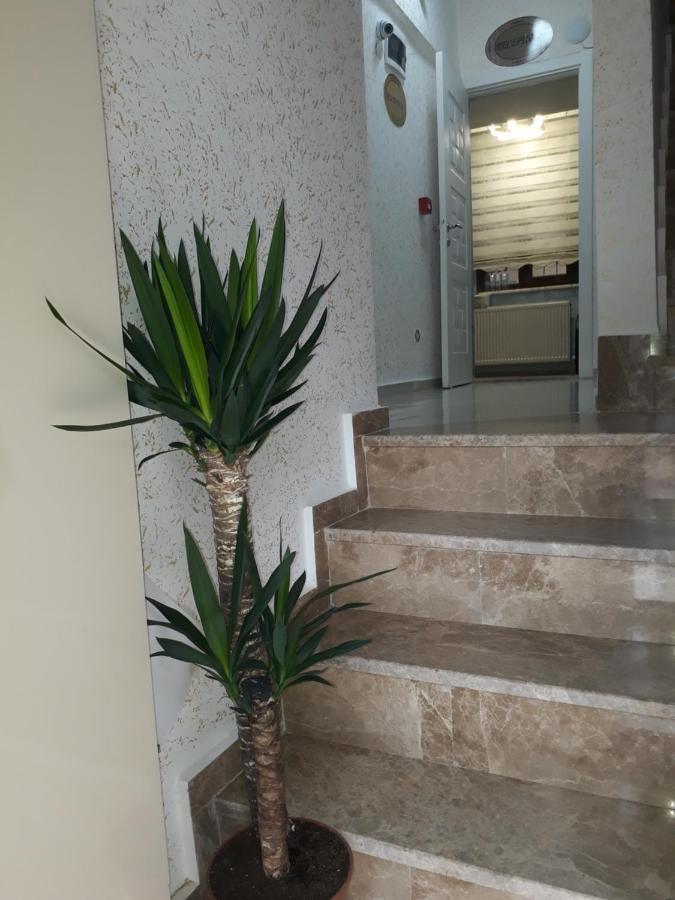 איסטמבול Blue Sail Hotel מראה חיצוני תמונה